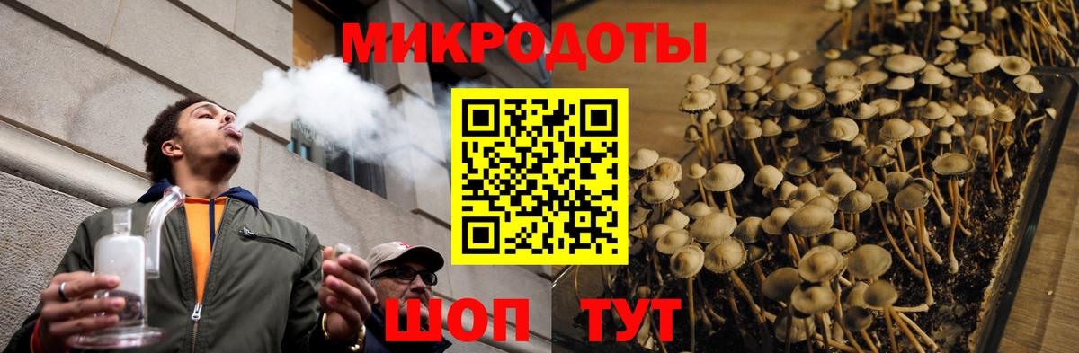 Родники  Галлюциногенные грибы мицелий  Галлюциногенные грибы прущие грибы  Вход с VPN 